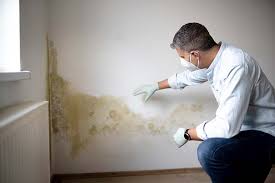 Why You Should Choose Our Mold Remediation Services in Blue Hills, CT